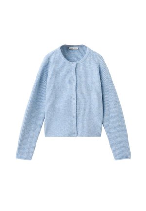 Hellblauer, gerippter Strickcardigan mit langen Ärmeln, rundem Ausschnitt und vorderem Druckknopfverschluss.