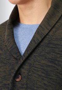 Pletený kardigán ve tmavě zelené barvě s strukturovaným povrchem, se šálovým límcem a hnědým knoflíkem. Nosený přes světle modrou košili.