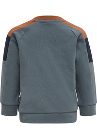 Ljusblå sweatshirt med bruna och marinblå axeldetaljer. Ribbad halsringning och manschetter. Mjuk textur, avslappnad passform, minimalistisk design.