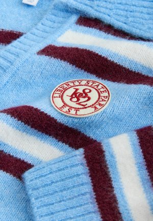 Pull bleu avec des rayures bordeaux et blanches, présentant un patch rond brodé avec le texte "Liberty State Park". Matière en laine douce et texturée.