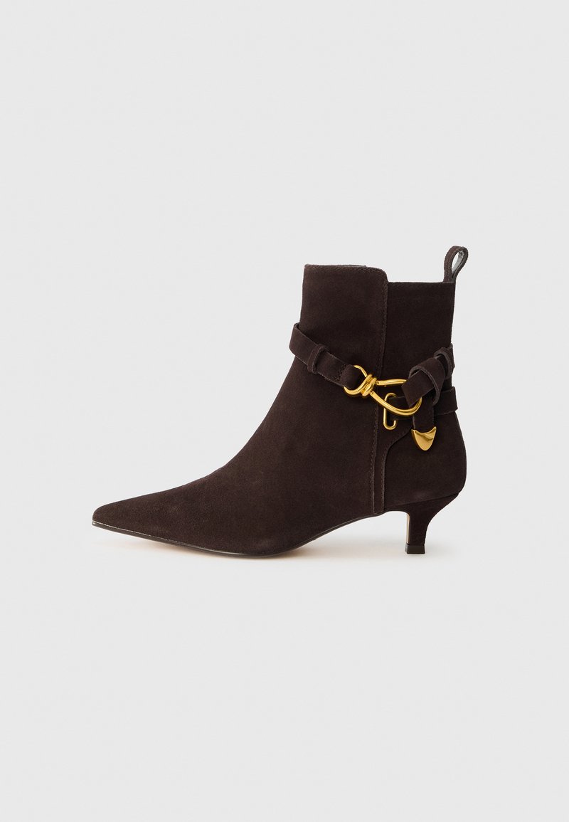 Steve Madden ROLLER - Classic ankle boots - brown