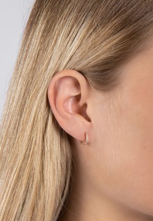 HELLENOR MIT ZIRKONIA - Earrings - rose
