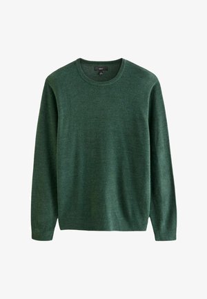 Green knit sweater with long sleeves and a crew neck. Soft texture with a solid finish. Slightly fitted at the waist. Tag visible at the neckline.