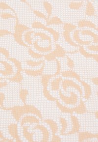 Nude lace fabric with a floral rose pattern and a mesh texture, featuring a light background with dark floral outlines.