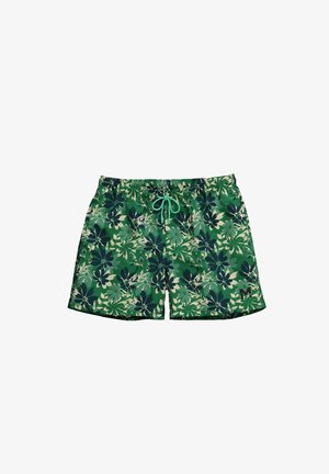 Men Plus, Shorts - green