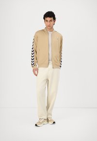 Beige zip-up jacket with navy chevron patterned sleeves, paired with light-colored pants and beige sneakers. Smooth fabric texture.