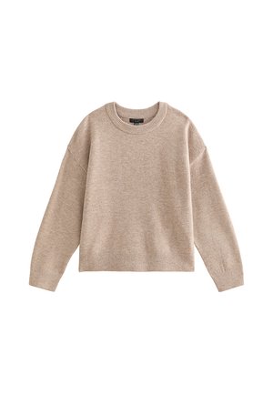 New Look Curves, CURVES LIGHT  MIDWEIGHT  CREW NECK JUMPER - Jersey de punto - mid brown