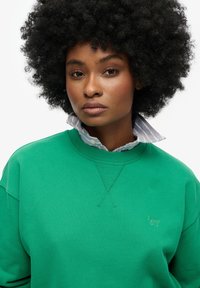 Groene katoenen sweatshirt met een ribgebreide kraag, met daaronder een lichtblauw gestreept shirt. Subtiele borduursel op de borst.
