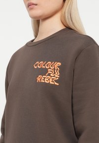 Hnědá mikina s kulatým výstřihem, na které je oranžovým vyšívaným textem napsáno "COLOURFUL REBEL." Tkanina vypadá měkce a má strukturu.