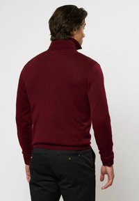 U.S. Polo Assn. MASON - Pulóver - tibetan red mélange