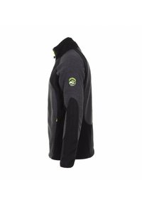 Peak Mountain CECUT - Veste polaire - black