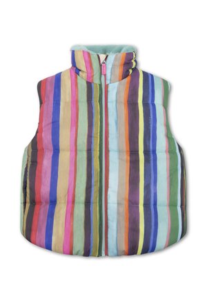 Kleurvolle gestreepte mouwloze vest met veelkleurige verticale lijnen, een hoge kraag en een rits aan de voorkant. Zachte textuur met gevulde isolatie.