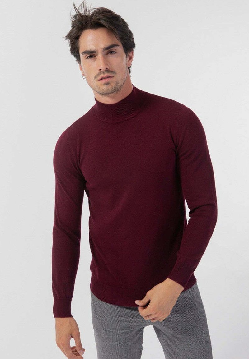 FRILIVIN FINE À COL CHEMINÉE - Pullover - bordeaux