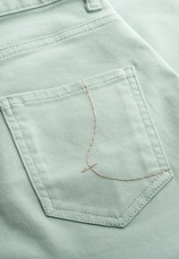 KAFT PANOES - Broek - mint