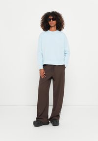 Hellblaues, kurzes Sweatshirt, dunkelbraune, lässige Hose mit seitlichen Streifen und schwarze Clogs. Model trägt schwarze Sonnenbrille und steht vor einem weißen Hintergrund.