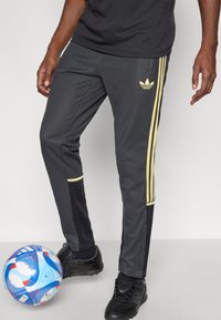 Hallid sportpüksid kollaste küljeribade ja brändilooga, millel on kitsenev lõige ja sile tekstuur. Läheduses on mustad jalanõud ja jalgpall.