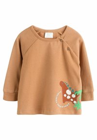 Ruskea huppari pitkilla hihoilla, jossa on dinosauruksen grafiikka vihreillä ja valkoisilla yksityiskohdilla. Pehmeä kangas ja pyöreä kaula-aukko, jossa on nappeja.