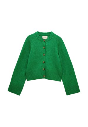 REGULAR FIT - ROUND NECK BUTTON THROUGH - Cardigan - green
