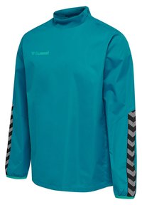 Teal waterdichte jas met een hoge kraag, lange mouwen en zwarte chevronaccenten op de manchetten. Lichtgewicht materiaal met een gladde textuur.