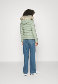 Tommy Jeans BASIC HOODED JACKET - Winter jacket - dusty sage