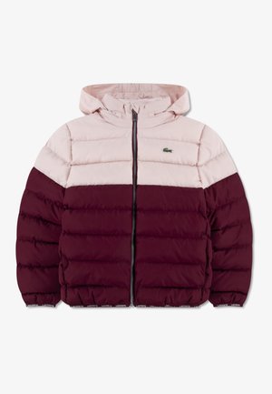 PUFFER - Winter jacket - nidus