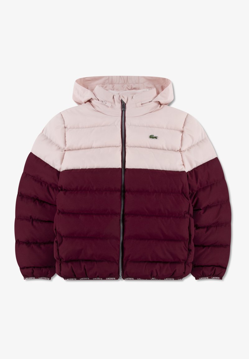 Lacoste PUFFER - Casaco de inverno - nidus