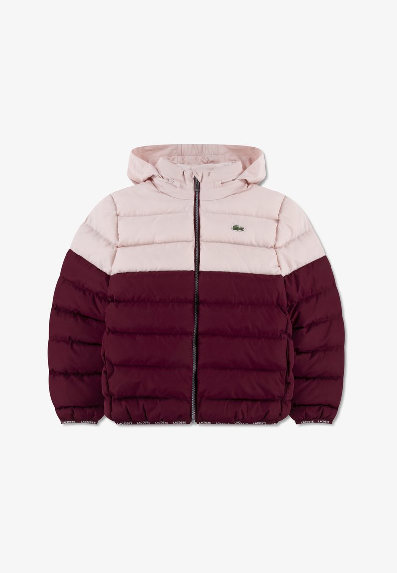 Lacoste PUFFER - Casaco de inverno - nidus
