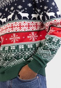 Megztinis su tamsiai mėlynu pagrindu, puoštu elnio ir medžių raštais, raudonomis ir žaliomis horizontaliomis juostelėmis bei baltais snaigių akcentais.