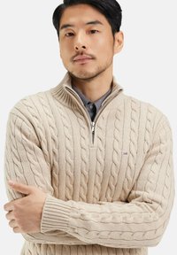 Homme avec des cheveux noirs courts et une légère barbe, portant un pull beige à torsades avec col zippé sur une chemise grise.