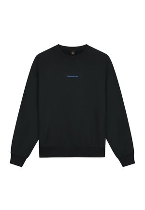 Black sweatshirt made of cotton blend, featuring a crew neck, long sleeves, and a small blue logo on the chest. Ribbed cuffs and hem.