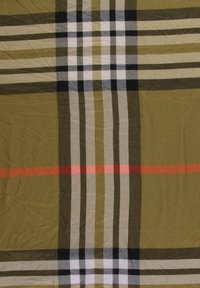 Zelená látka s klasickým kostkovaným vzorem, která má široké pruhy v černé, bílé a červené barvě, se měkkou, mírně zmačkanou texturou.