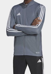 Veste de sport grise en matériau qui évacue l'humidité, avec un col haut, une fermeture éclair à l'avant et des accents rayés blancs sur les manches.