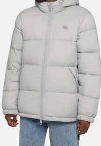 Jasnoszara kurtka puchowa z dopasowanym kapturem, zapinana na zamek, pikowana i z elastycznymi mankietami. Posiada boczne kieszenie i małą naszywkę z logo.