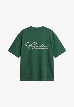 Pegador, PIKE OVERSIZED TEE - T-shirt imprimé - washed solid green/warm white