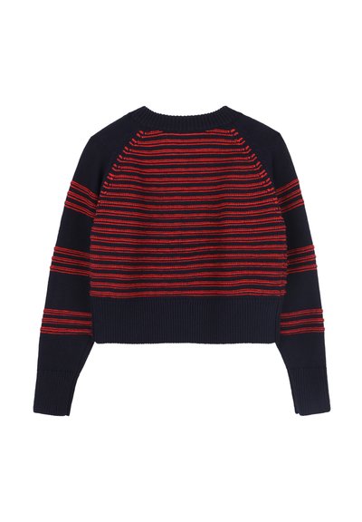 Marineblauwe gebreide trui met rode horizontale strepen, geribbelde zoom en manchetten, cropped ontwerp, heeft raglanmouwen en textuurdetails.