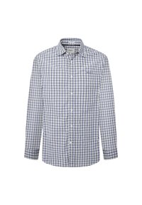 Camisa de botones en un patrón de cuadros azul y blanco. Mangas largas, cuello estándar, la tela parece ligera y transpirable.