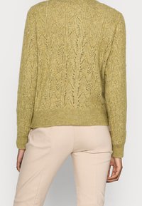 Person wearing a green knit sweater with a lace pattern and beige trousers, shown from the back against a plain background.