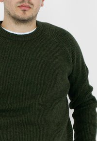 Timberland PHILLIPS BROOK RAGLAN - Strickpullover - verde