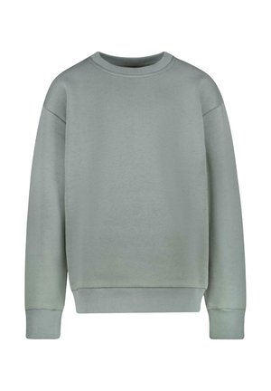 Lichtgroene sweatshirt met een ronde halslijn, verlaagde schouders en geribbelde manchetten en zoom. Gemaakt van zachte katoen met een gladde textuur.