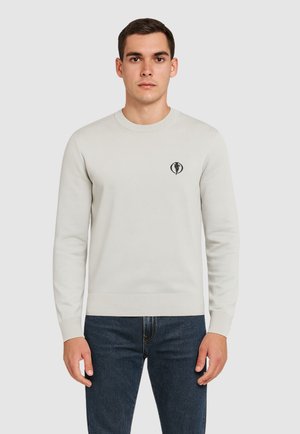 Maglione - grigio ghiaccio