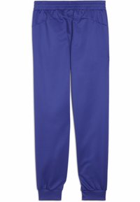 Purple athletic pants made of smooth, breathable fabric with an elastic waistband and tapered cuffs. Features side pockets for storage.