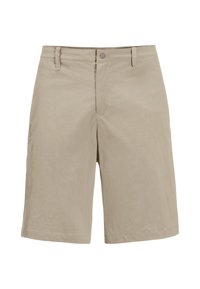 DESERT  - Outdoor shorts - stone