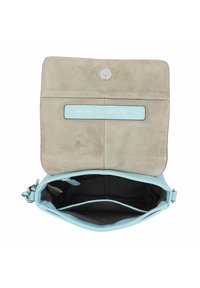 Picard Bandolera - pool