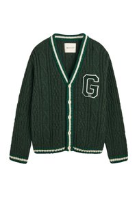 SEASONAL G CABLE V-NECK - Casaco de malha - tartan green