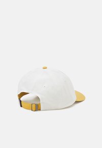 Patagonia P-6 LABEL TRAD UNISEX - Sapka - birch white