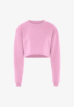 Felpa cropped in morbido materiale rosa pallido, con maniche lunghe, polsini a coste e colletto rotondo. Texture liscia e dettagli di design minimi.