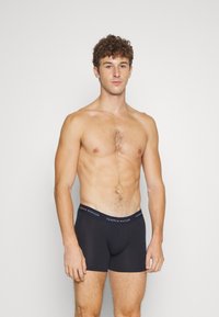 Tommy Hilfiger 3 PACK - Boxers - desert sky/ultra blue/green