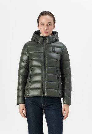 Green puffer jacket with a hood, featuring quilted design, smooth texture, and front zipper, complemented by side pockets and logo detail.