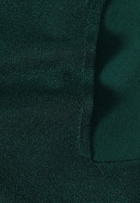 Tumši zaļa auduma ar teksturētu, mirdzošu virsmu. Raksturo gluda mala un maza uzlīme, radot slāņotu izskatu.