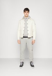 Santa Cruz CLASSIC LABEL HOOD - Camisola - heather grey